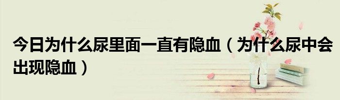 今日为什么尿里面一直有隐血(为什么尿中会出现隐血)