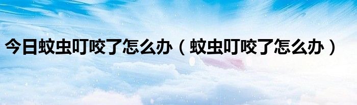 今日蚊虫叮咬了怎么办(蚊虫叮咬了怎么办)