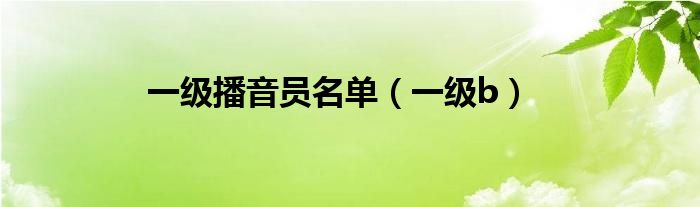 一级播音员名单（一级b）