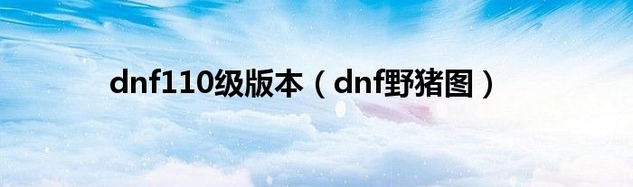 dnf110级版本（dnf野猪图）