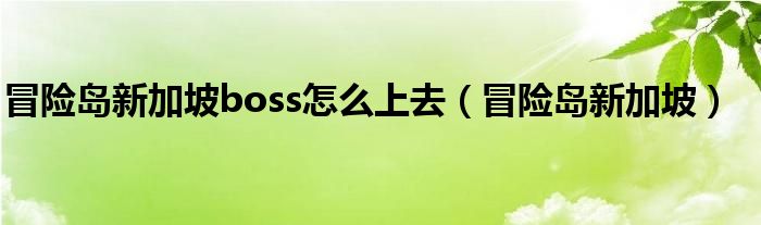 冒险岛新加坡boss怎么上去(冒险岛新加坡)