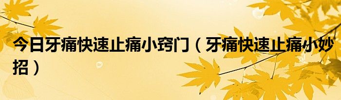 今日牙痛快速止痛小窍门(牙痛快速止痛小妙招)