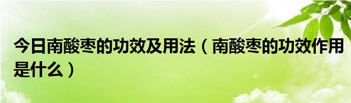 今日南酸枣的功效及用法(南酸枣的功效作用是什么)