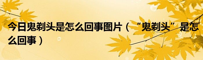 今日鬼剃头是怎么回事图片(“鬼剃头”是怎么回事)