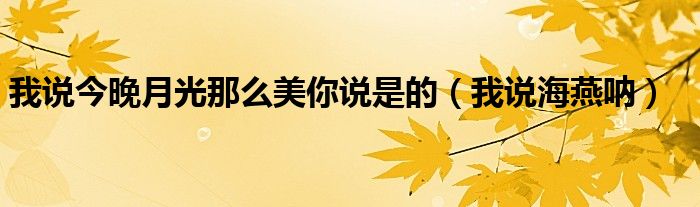 我说今晚月光那么美你说是的(我说海燕呐)