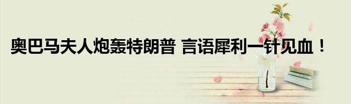 奥巴马夫人炮轰特朗普 言语犀利一针见血！