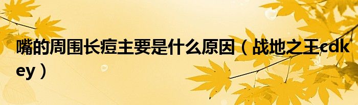 嘴的周围长痘主要是什么原因(战地之王cdkey)