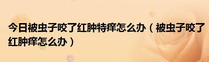 今日被虫子咬了红肿特痒怎么办(被虫子咬了红肿痒怎么办)