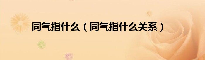 同气指什么(同气指什么关系)