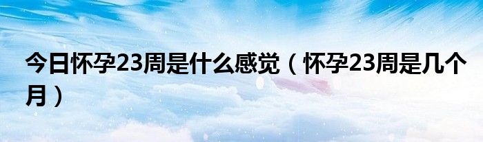 今日怀孕23周是什么感觉(怀孕23周是几个月)