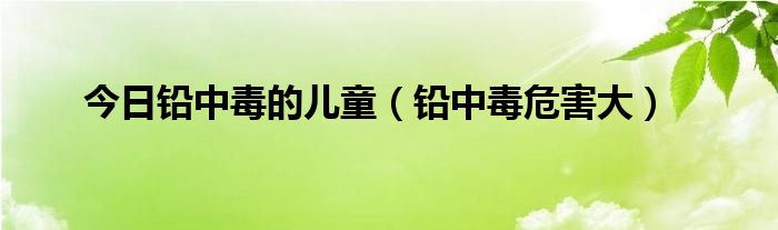 今日铅中毒的儿童(铅中毒危害大)