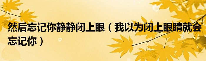 然后忘记你静静闭上眼(我以为闭上眼睛就会忘记你)