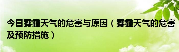 今日雾霾天气的危害与原因(雾霾天气的危害及预防措施)