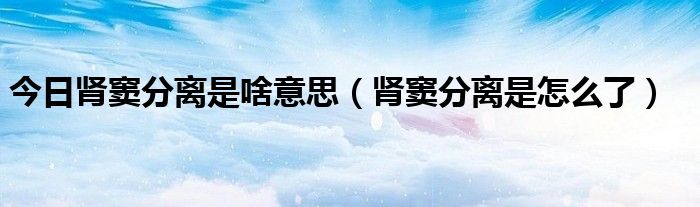 今日肾窦分离是啥意思(肾窦分离是怎么了)