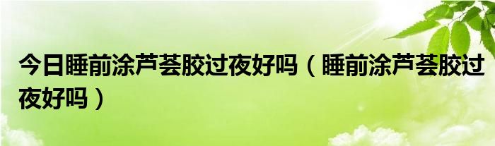 今日睡前涂芦荟胶过夜好吗(睡前涂芦荟胶过夜好吗)