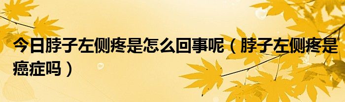 今日脖子左侧疼是怎么回事呢(脖子左侧疼是癌症吗)