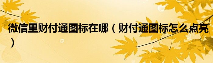 微信里财付通图标在哪（财付通图标怎么点亮）