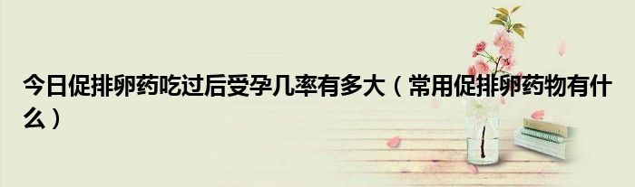 今日促排卵药吃过后受孕几率有多大（常用促排卵药物有什么）