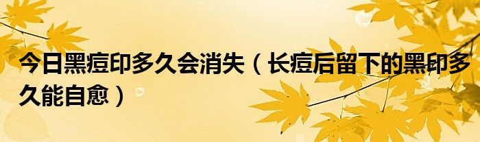 今日黑痘印多久会消失(长痘后留下的黑印多久能自愈)