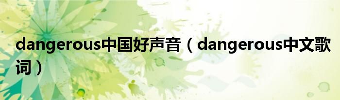 dangerous中国好声音(dangerous中文歌词)