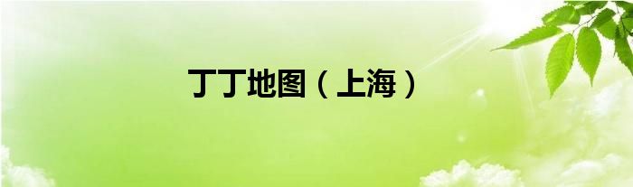 丁丁地图（上海）