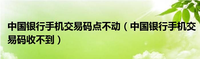 中国银行手机交易码点不动(中国银行手机交易码收不到)