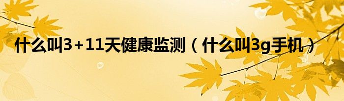 什么叫3+11天健康监测(什么叫3g手机)