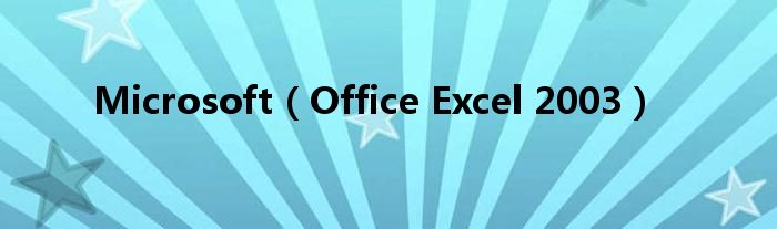 Microsoft(Office Excel 2003)