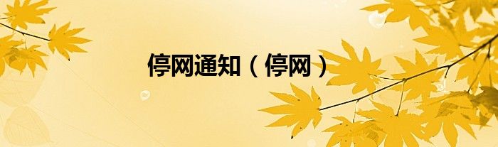 停网通知（停网）