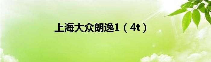 上海大众朗逸1(4t)