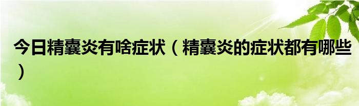 今日精囊炎有啥症状(精囊炎的症状都有哪些)