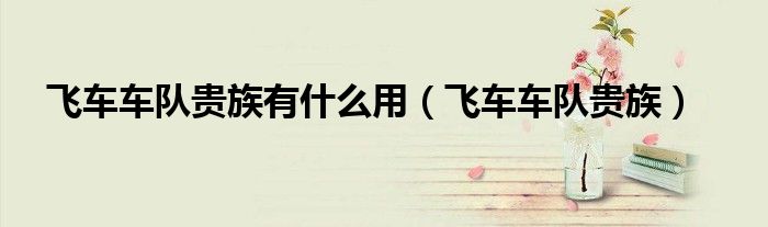 飞车车队贵族有什么用（飞车车队贵族）