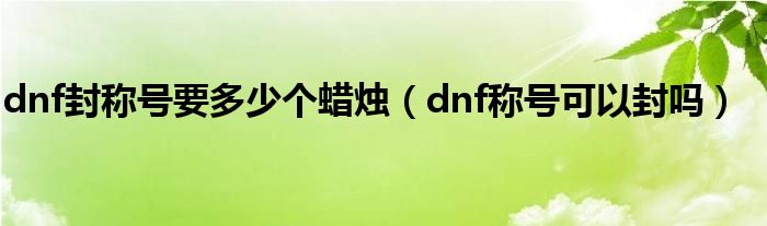 dnf封称号要多少个蜡烛(dnf称号可以封吗)
