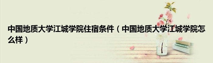 中国地质大学江城学院住宿条件(中国地质大学江城学院怎么样)