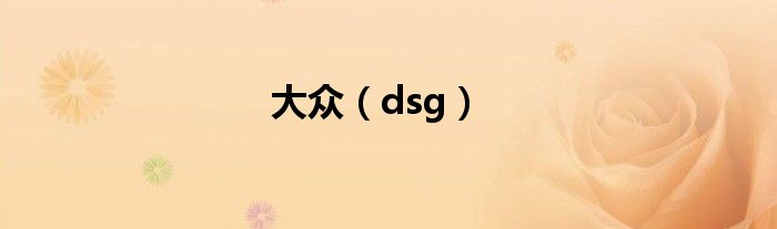 大众（dsg）