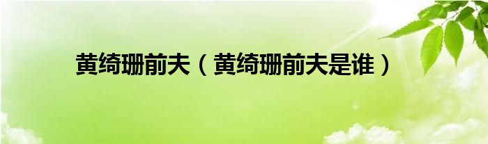黄绮珊前夫(黄绮珊前夫是谁)
