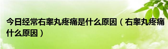 今日经常右睾丸疼痛是什么原因(右睾丸疼痛什么原因)