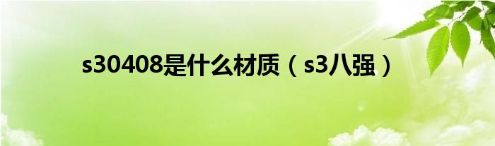 s30408是什么材质(s3八强)