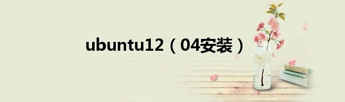 ubuntu12(04安装)