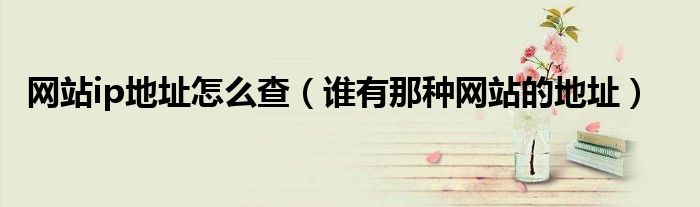 网站ip地址怎么查(谁有那种网站的地址)