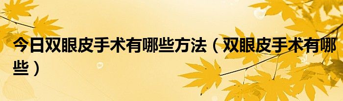 今日双眼皮手术有哪些方法(双眼皮手术有哪些)