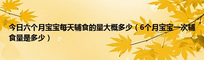 今日六个月宝宝每天辅食的量大概多少(6个月宝宝一次辅食量是多少)