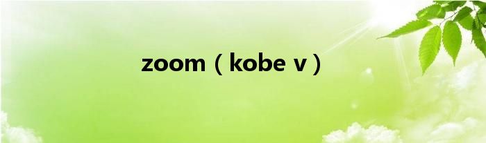 zoom(kobe v)