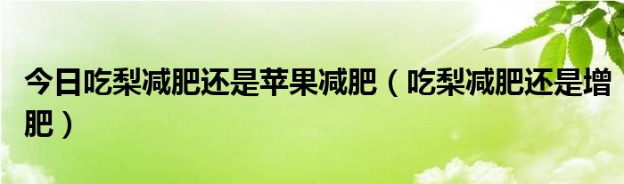 今日吃梨减肥还是苹果减肥(吃梨减肥还是增肥)