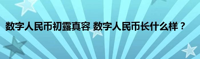 数字人民币初露真容 数字人民币长什么样?