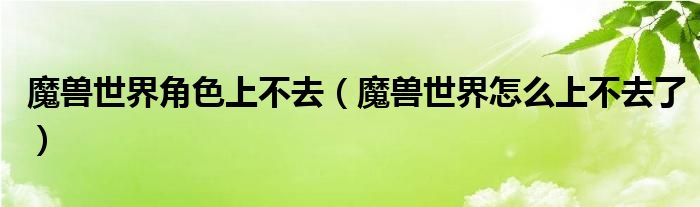 魔兽世界角色上不去(魔兽世界怎么上不去了)