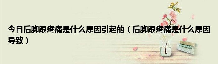 今日后脚跟疼痛是什么原因引起的(后脚跟疼痛是什么原因导致)
