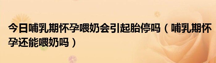 今日哺乳期怀孕喂奶会引起胎停吗(哺乳期怀孕还能喂奶吗)