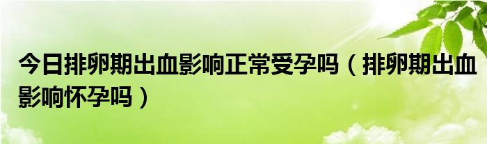 今日排卵期出血影响正常受孕吗(排卵期出血影响怀孕吗)