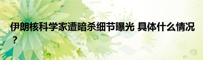 伊朗核科学家遭暗杀细节曝光 具体什么情况?